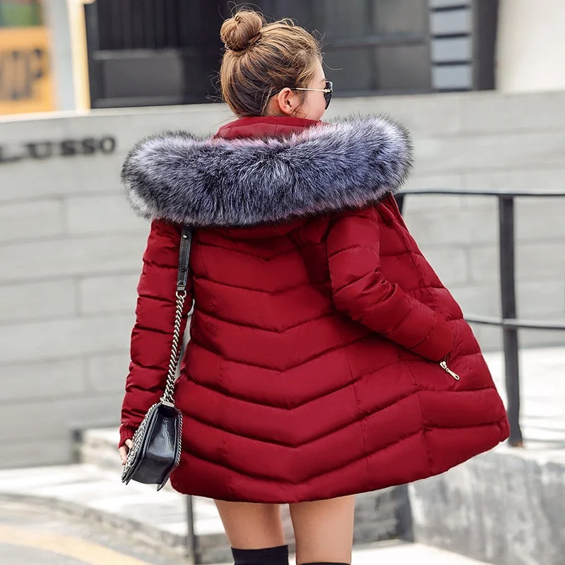 womens winter jackets and coats 2018 Parkas for women 4 Colors Wadded Jackets warm Outwear With a Hood Large Faux Fur Collar